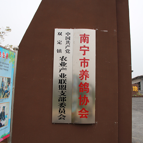 南寧市養(yǎng)鴿協(xié)會(huì)